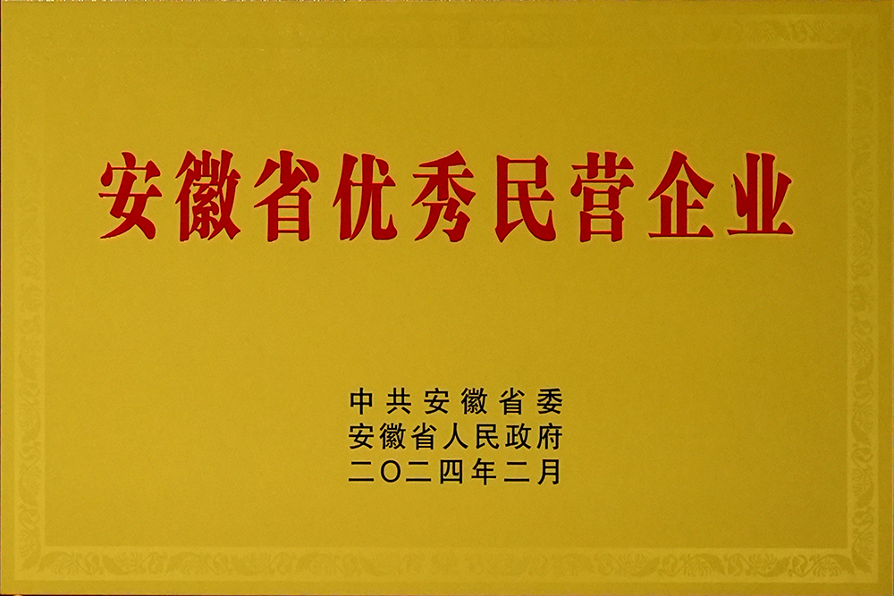 豪家股份榮獲“安徽省百名優(yōu)秀民營(yíng)企業(yè)”稱(chēng)號